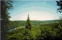 抜け毛解消・フルボ酸